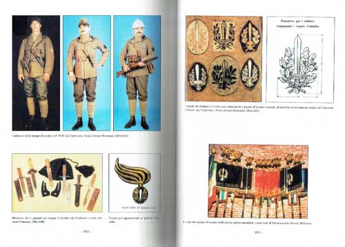 第1次大戦 イタリア軍突撃兵部隊全史